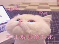 徐州锐特精电子商务有限公司