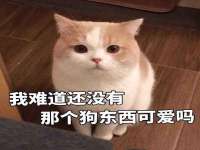 徐州锐特精电子商务有限公司