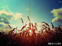 徐州锐特精电子商务有限公司