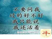 徐州锐特精电子商务有限公司