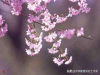 徐州锐特精电子商务有限公司