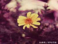 徐州锐特精电子商务有限公司