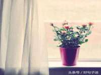 徐州锐特精电子商务有限公司
