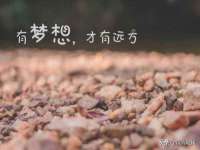 徐州锐特精电子商务有限公司