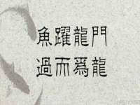 徐州锐特精电子商务有限公司