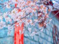 徐州锐特精电子商务有限公司