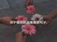 徐州锐特精电子商务有限公司