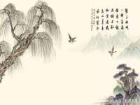 徐州锐特精电子商务有限公司
