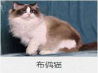 徐州锐特精电子商务有限公司