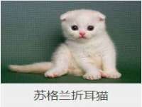 徐州锐特精电子商务有限公司