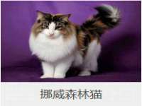 徐州锐特精电子商务有限公司