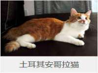 徐州锐特精电子商务有限公司