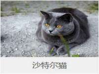 徐州锐特精电子商务有限公司
