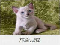 徐州锐特精电子商务有限公司