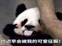 徐州锐特精电子商务有限公司