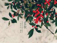 徐州锐特精电子商务有限公司