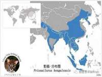 徐州锐特精电子商务有限公司