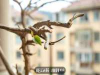徐州锐特精电子商务有限公司