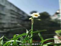 徐州锐特精电子商务有限公司