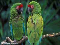 徐州锐特精电子商务有限公司