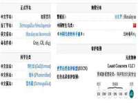 徐州锐特精电子商务有限公司