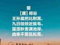 徐州锐特精电子商务有限公司