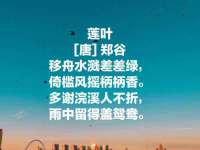 徐州锐特精电子商务有限公司