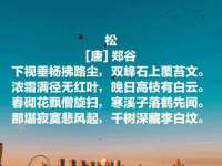 徐州锐特精电子商务有限公司