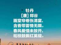 徐州锐特精电子商务有限公司