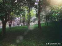 徐州锐特精电子商务有限公司