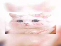徐州锐特精电子商务有限公司