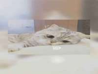 徐州锐特精电子商务有限公司