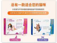 徐州锐特精电子商务有限公司
