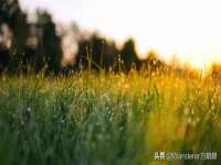 徐州锐特精电子商务有限公司