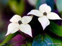 徐州锐特精电子商务有限公司