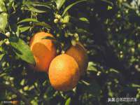 徐州锐特精电子商务有限公司