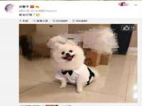 徐州锐特精电子商务有限公司
