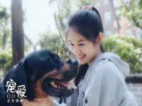 徐州锐特精电子商务有限公司