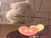 徐州锐特精电子商务有限公司