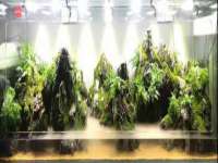 徐州锐特精电子商务有限公司