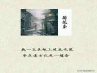 徐州锐特精电子商务有限公司
