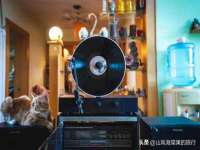徐州锐特精电子商务有限公司
