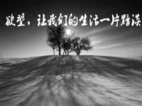 徐州锐特精电子商务有限公司