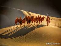 徐州锐特精电子商务有限公司