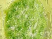 徐州锐特精电子商务有限公司