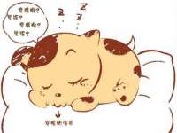 徐州锐特精电子商务有限公司