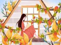 徐州锐特精电子商务有限公司