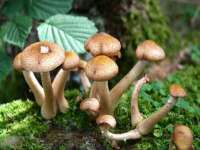 徐州锐特精电子商务有限公司