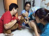 徐州锐特精电子商务有限公司