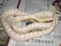 徐州锐特精电子商务有限公司